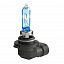 Купить Лампы галогенные MTF Light Argentum HB3 12V 65w +80% 4000k в Сургуте