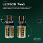 Купить Лампа светодиодная Ledison 7443 (оранж.) в Сургуте