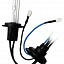 Купить ксеноновая лампа ClearLight H7 4300К (1шт) в Сургуте